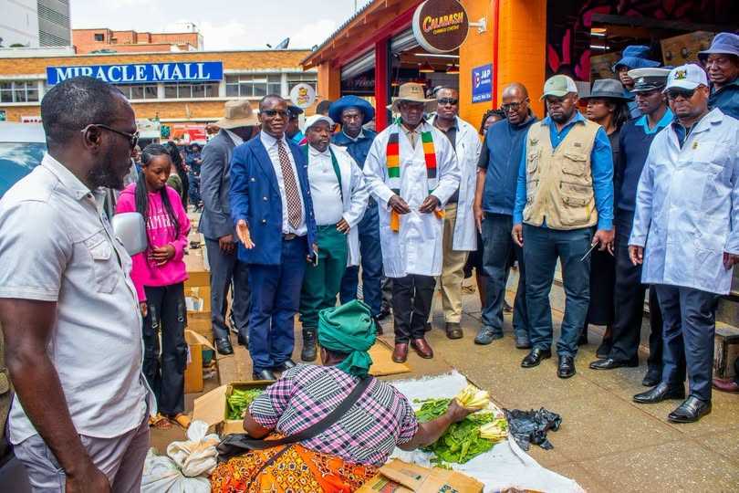 Mayor, Minister monitoring Chenesa Harare Operation
